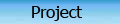 Project