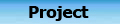 Project